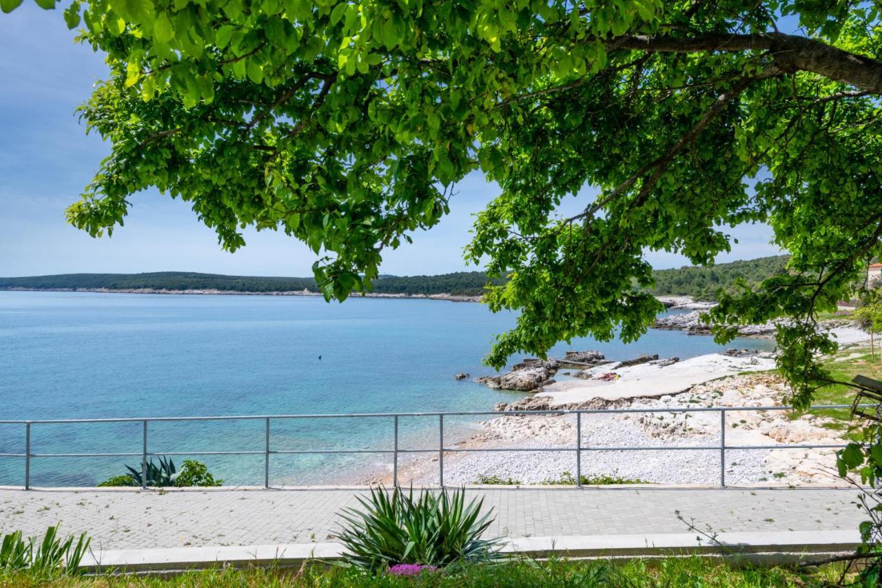 Apartment Dobric Koromačno المظهر الخارجي الصورة
