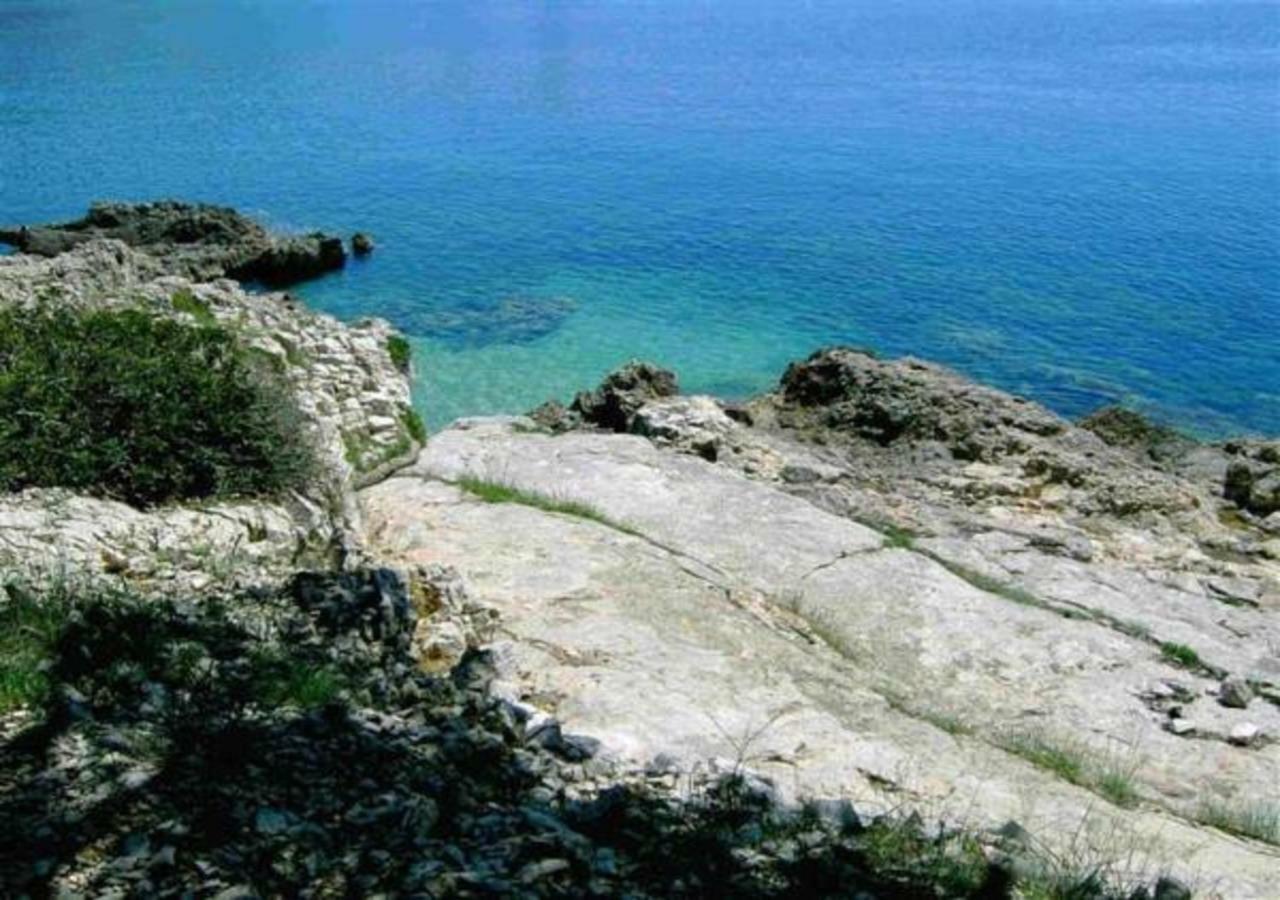 Apartment Dobric Koromačno المظهر الخارجي الصورة