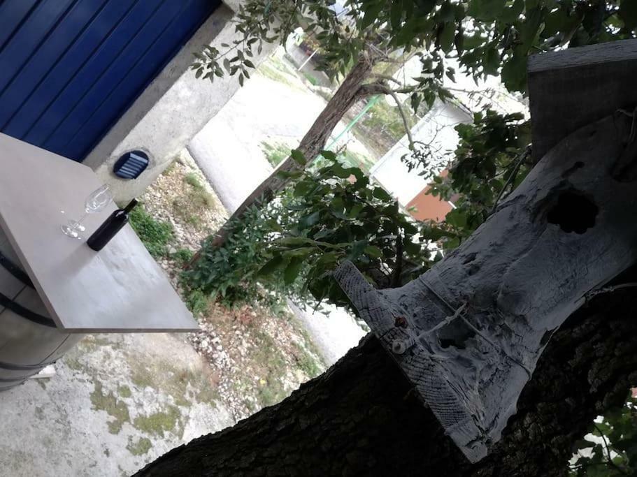 Apartment Dobric Koromačno المظهر الخارجي الصورة