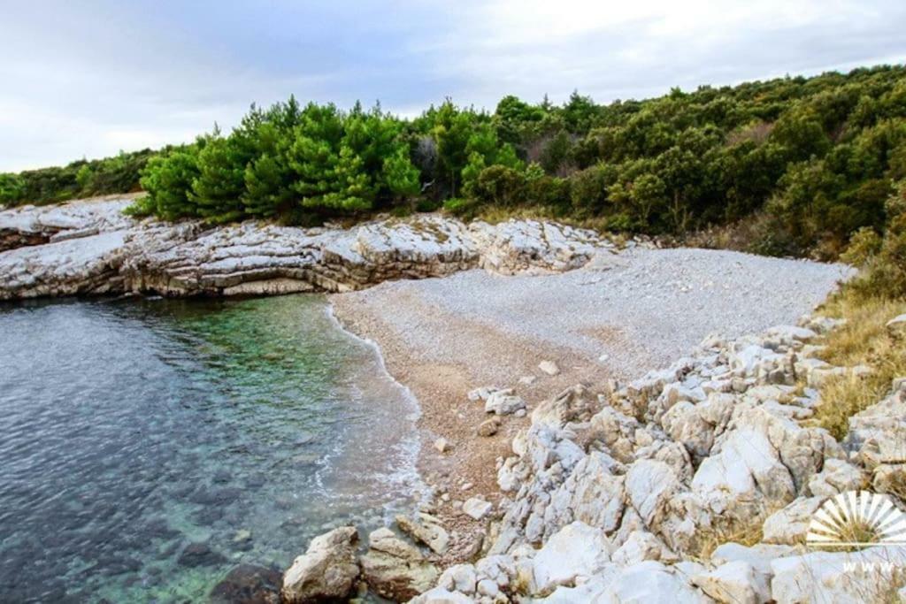 Apartment Dobric Koromačno المظهر الخارجي الصورة